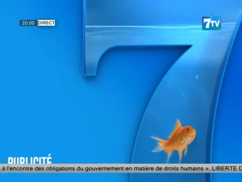 7TV SOIR - le Mag infos du mardi 06 févr. 2024