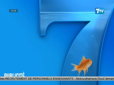 7TV SOIR - le Mag infos du samedi 13 juil. 2024