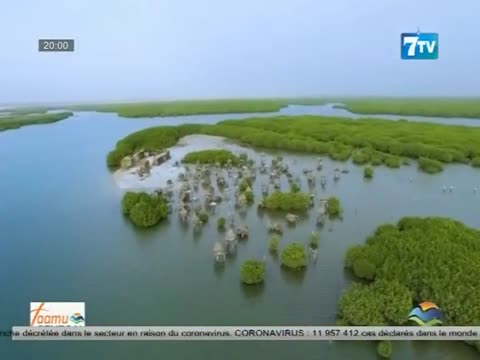 7TV SOIR - le Mag infos du mercredi 08 juil. 2020