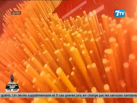 7TV SOIR - le Mag infos du dimanche 29 nov. 2020