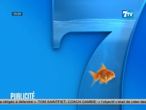 7TV SOIR - le Mag infos du lundi 15 janv. 2024