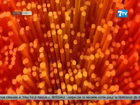 Allô Senegal - La matinale infos du vendredi 24 mai 2024