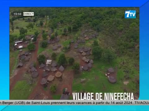 7TV SOIR - le Mag infos du lundi 29 juil. 2024