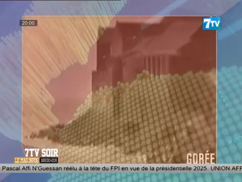 7TV SOIR - le Mag infos du dimanche 10 nov. 2024