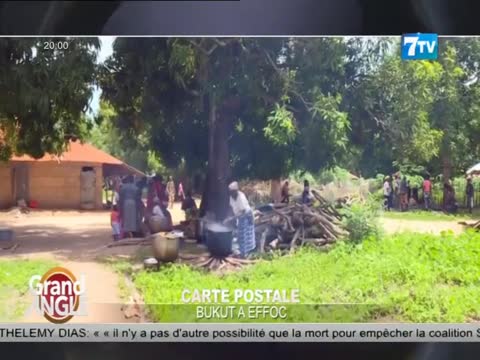 7TV SOIR - le Mag infos du mardi 12 nov. 2024