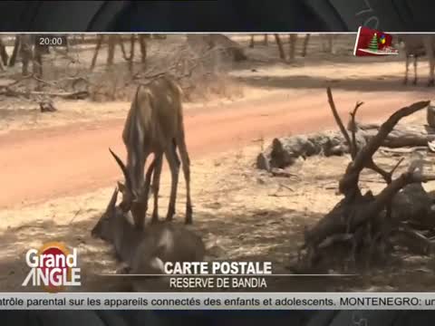 7TV SOIR - le Mag infos du jeudi 02 janv. 2025