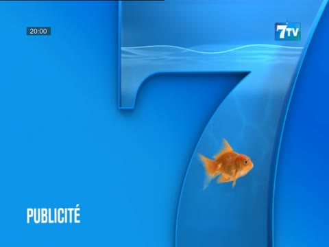 7TV SOIR - le Mag infos du dimanche 26 janv. 2025