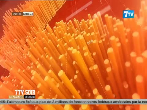 7TV SOIR - le Mag infos du vendredi 07 févr. 2025