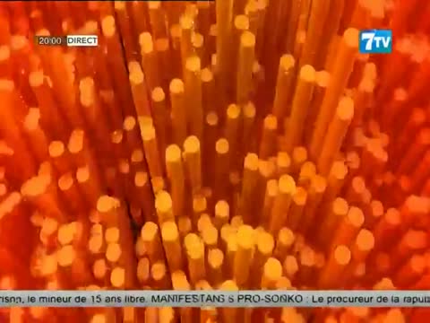 Suivez 7TV SOIR - LE MAG INFOS DU DIMANCHE 14 FEVRIER 2020 (le 19h)